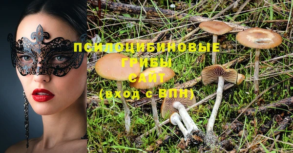 дурь Нефтегорск