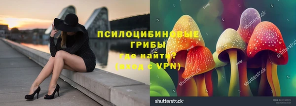 стаф Нефтекумск