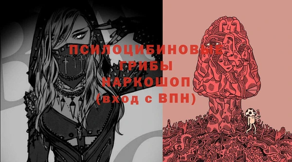 дурь Нефтегорск