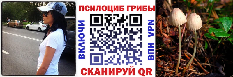 Псилоцибиновые грибы ЛСД  Купить закладки  Ершов 